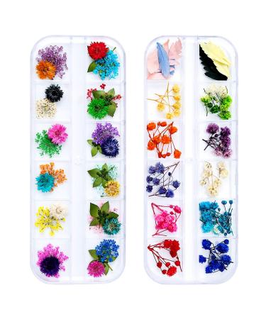 iFancer 90 Pcs Nail Dried Flowers 36 Colors 3D Nail Art Real Flowers Nature Dry Petals Leaves Decor for Nail Art Design Manicure Decoration Nail Dried Real Flower 1