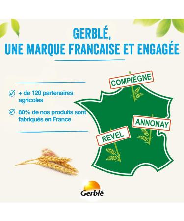 Gerbl Reduced Content/Apricot Pistachio Biscuits/Low Sugar 16 Biscuits 216574 160 g 1 Unit - Buy Online on GoSupps.com