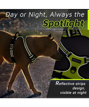 Buy Eagloo Medium Dog Harness - Adjustable Durable Anti- Pull with Reflex Strips for Walking & Jogging - Green M (1 Pack) - International Shipping Available - Buy Online on GoSupps.com