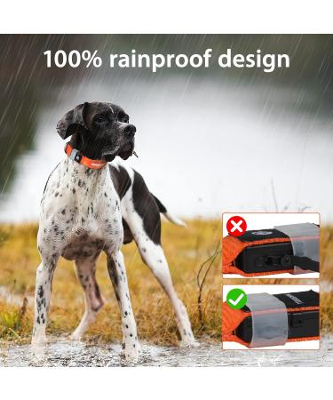 Masbrill LED Dog Collar - Luminous Waterproof Adjustable Safety Band with 3 Flashing Lights for Small Medium & Large Dogs (48-60cm / 19-23.6inch) - Orange - Buy Online on GoSupps.com