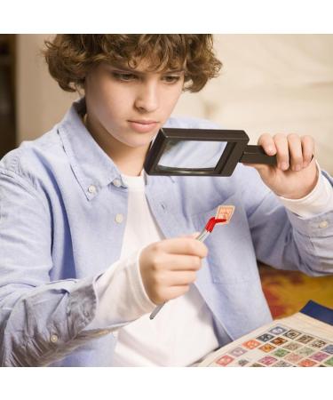 Premium 2-Part Tweezers Set with Rubber Tips - Curved & Angled Metal Sticker Tweezers for Jewelry Making DIY Crafts & Laboratory Use - Buy Online on GoSupps.com