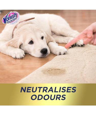 Vanish Carpet Cleaner + Upholstery Gold Power Foam Shampoo Large Area Cleaning 600 ml (Pack of 2) 1 ml (Pack of 2) - Buy Online on GoSupps.com