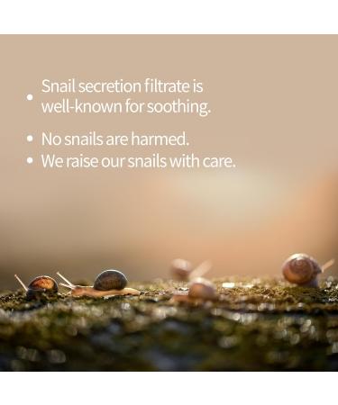 BENTON Snail Bee High Content Mask Pack - 10 Sheets | Korean Moisturizing Face Mask with Snail Mucin & Bee Venom for Soothing Skin - Buy Online on GoSupps.com