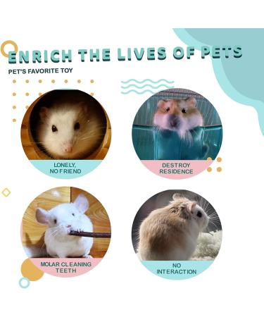 Wooden Hamster Toys Platform with Climbing Ladder - Small Animal Cage Accessories Set - Buy Online on GoSupps.com
