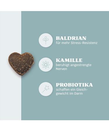 Mammaly Relax Time: Anti-Stress Snacks for Dogs with Valerian Chamomile & Probiotics - 270 Calming Treats for Fear & Nervousness - Buy Online on GoSupps.com