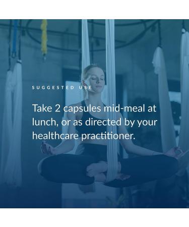 EquiLife Activated B-Complex: Mood & Energy Support Supplement | Non-GMO Vegan (60 Veggie Caps) - Buy Online on GoSupps.com