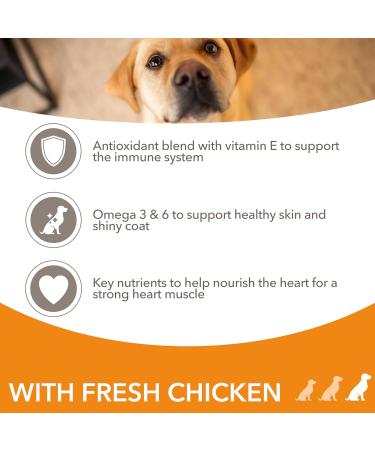 IAMS Complete Dry Dog Food for Adult 1+ Large Breeds with Chicken 12 kg 12 kg (Pack of 1) - Buy Online on GoSupps.com