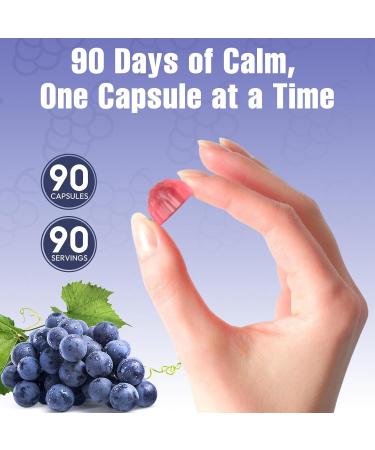 Magnesium Complex Gummies Individually Packaged Magnesium Supplement Magnesium Chelate Bisglycinate Malate Citrate Taurate Chewable for Women & Men Sleep&Muscle&Nerve Health Vegan 90 Counts Grape 1 Count (Pack of 90) - Buy Online on GoSupps.com
