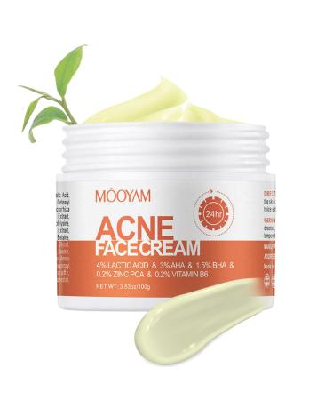 Acne Spot Treatment Cream for Acne 100g AHA BHA Lactic Acid & Zinc Scar Pimple Cream for Face Anti-Blemish Care