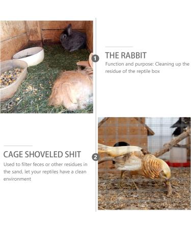 Mipcase Terrarium 2Pcs Reptile Sand Pet Supplies Excrement Cleaning Shovels Reptile Sand Shovels Shovels Portable Lizard Reptile Fogger Glass Container - Buy Online on GoSupps.com