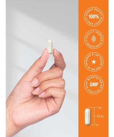 Horb ach Vitamin D3 K2 | 5000 IU D3 | 120 Capsules | with Magnesium Zinc & Quercetin | Vegetarian Non-GMO Gluten Free Supplement - Buy Online on GoSupps.com