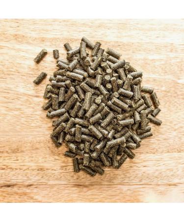 St.Hippolyt UNGULAT Clogs Refill 5 kg - Buy Online on GoSupps.com