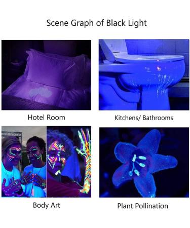 Blacklight UV Flashlight | LED Urine Detector for Dogs Cats & Pet Stains on Carpets & Floors - International Shipping - Buy Online on GoSupps.com