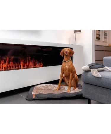 Trixie Be Nordic S Sand/Black Dog Collar - Comfortable & Robust Small Dog Training Limit Collar - 17314 - Buy Online on GoSupps.com