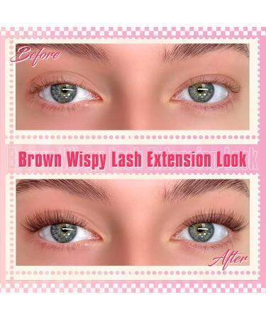 Buy Natural Brown Lash Clusters - Wispy Premade Eyelash Extensions | C Curl 10-15mm DIY for Beginners | Delyneph - Buy Online on GoSupps.com