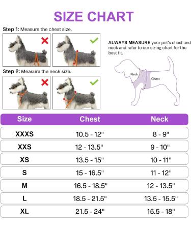 Buy Joytale Reflective Dog Harness for Small Dogs | Soft Padded Air-Mesh Solutions | Purple Size S (38-42cm) - International Shipping Available - Buy Online on GoSupps.com