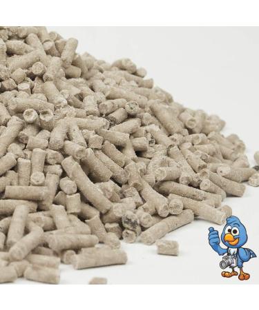 BusyBeaks Dried Meal Worm Grease Pellets - High Quality Wild Bird Food (2.5kg) - Buy Online on GoSupps.com