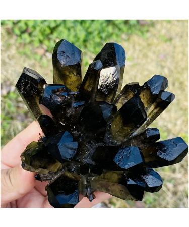 Natural Crystal Rough Crystal Cluster Natural Beatiful Black Quartz Crystal Cluster Specimen (Size : 650-700g) - Buy Online on GoSupps.com