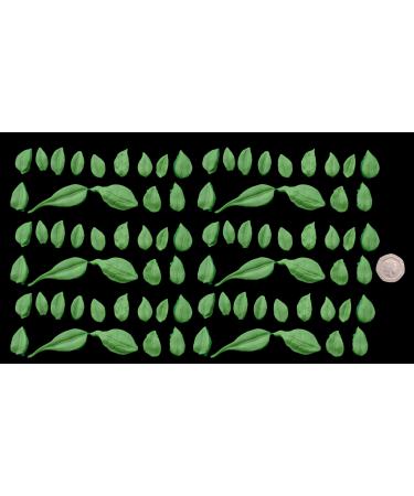 50 x Edible 3D Large Mixed Green Leaves Set 2 Flowers icing toppers cake cupcakes decorations (Green)