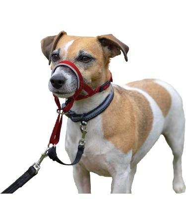 Halti Headcollar Dog Harness to Stop Pulling on Lead for Small Medium and Large Dogs Size 1 & Halti Headcollar Dog Harness to Stop Pulling on Lead for Small Medium and Large Dogs Red Size 2 - Buy Online on GoSupps.com