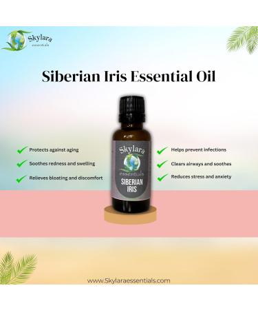 Organic Siberian Iris Essential Oil for Calming Aroma Diffuser Candle Making | Long - Lasting Housewarming Gifts Thanksgiving and Christmas 10ml 10ML (0.33 Fl Oz) 1 Fl Oz (Pack of 1) - Buy Online on GoSupps.com