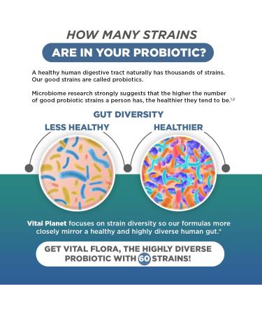 Vital Planet - Vital Flora Immune Support Probiotic 60 Billion CFU 60 Diverse Strains 7 Organic Mushroom Supplement Blend with Prebiotics Shelf Stable Digestive Health Probiotics 30 Capsules - Buy Online on GoSupps.com