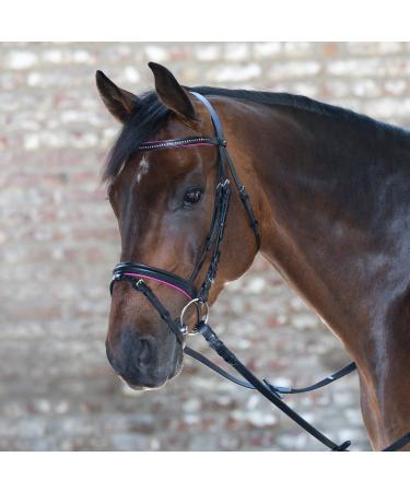 Star WALDHAUSEN Bridle Diamond fuchsia Minishetty