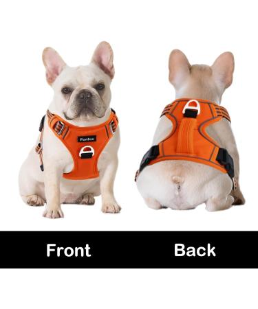 Funfox Dog Harness for Small & Medium Dogs - No Pull Adjustable Breathable Safety Harness in Orange - Buy Online on GoSupps.com