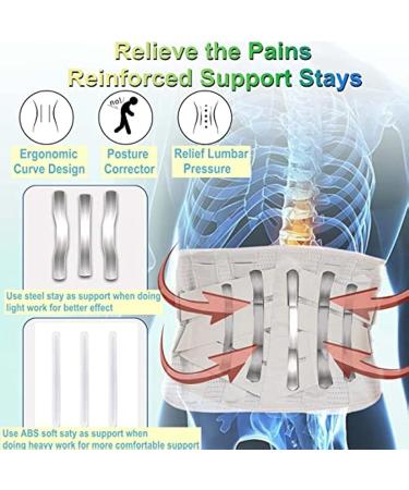 Breathable Waist & Back Support Belts for Men & Women - Pain Relief for Herniated Disc Scoliosis & Sciatica - XL Gray - Buy Online on GoSupps.com