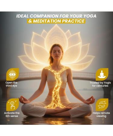 Kailash Herbals Third Eye Awakening Organic Haritaki Capsules (Terminalia Chebula) 650 mg 100 Vegan Capsules Ayurvedic Herbal Supplement - Buy Online on GoSupps.com