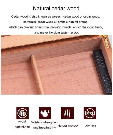 Cigars Humidors Cigar Humidor Cigar Accessories Cigar Humidor Cigar Storage Box with Removable Partition Storage Cabinet Decobox - Buy Online on GoSupps.com