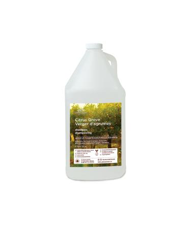 Citrus Grove Shampoo Citrus Grove 4 l (Pack of 1)