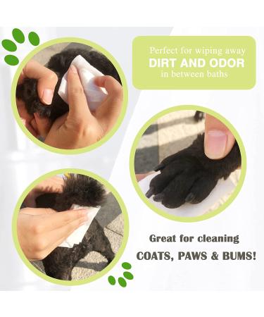 Docatty Pet Wipes - 50 Plant-Based Compostable Wipes for Dogs & Cats | Hypoallergenic & Deodorizing Grooming Wipes for Paws, Body & Butt - Buy Online on GoSupps.com