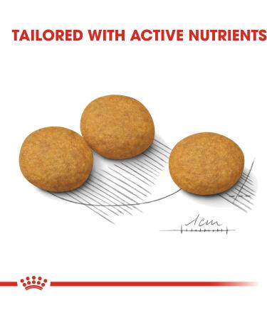 Royal Canin Dog Food Medium Dermacomfort Dry Mix 10kg Seafood 10 kg (Pack of 1) - Buy Online on GoSupps.com