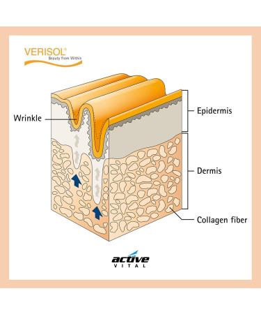 VERISOL Collagen Hydrolysate Powder Type 1-3 - Bioactive Collagen Peptides 500g for Healthy Skin Hair & Joints | International Shipping Available - Buy Online on GoSupps.com