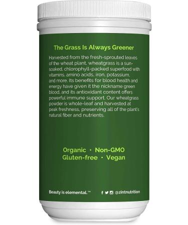 Zint Organic Wheatgrass Powder (8 oz) - Immune Support & Detox Supplement - Buy Online on GoSupps.com