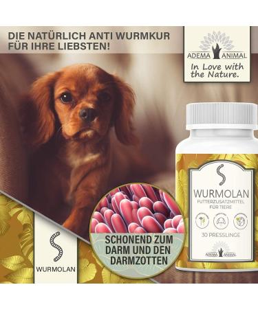 Buy Adema Animal Wurmolan - Natural Worm Cure for Dogs Cats & Rodents | 30 Pressing Content - Effective Before During & After Infestation - Buy Online on GoSupps.com