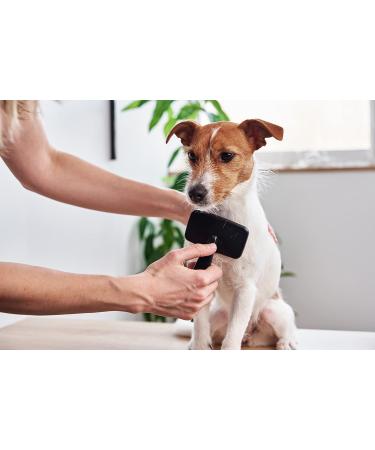 Lambskin Brush for Pets - Universal Care Brush for Dogs & Cats | Soft Grip Long & Short Hair Fur Brush | Black/Red - Buy Online on GoSupps.com