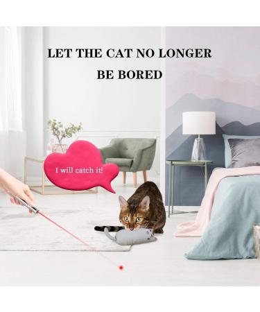 MOSNOW Cat Chase Toys 1 Pack 2 in 1 LED Pointer Cat Toys&1 Pack Cat Catnip Toys Funny Cat Toys Pet Interactive Toys for Pet Indoor Exercise Training Tool - Buy Online on GoSupps.com