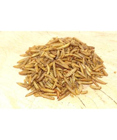 10kg Futterbauer soldier fly larvae like mealworms bird food fish food