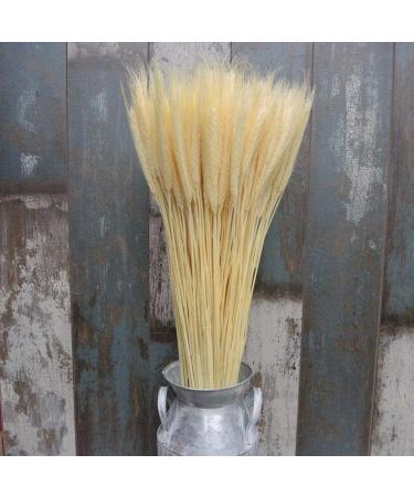 25pcs Colorful Natural Dried Flowers Bouquet Wheat Plants Bunches New Year Craft Wedding Chrismas Decor Decoration Beige 25pcs - Buy Online on GoSupps.com