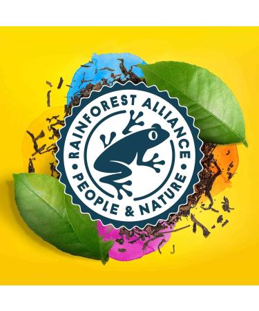 Lipton Relaxation Selection Tea and Infusion Set 12 Different Tastes Green Tea Black Tea and Infusions Cold or Hot Infu - Buy Online on GoSupps.com
