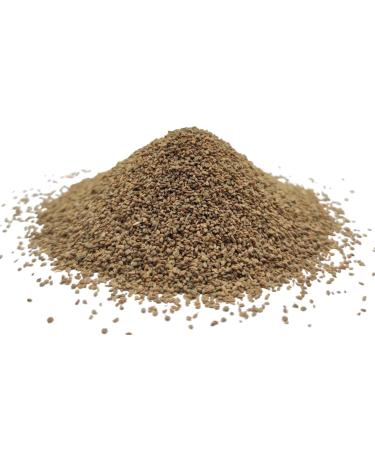 Graines de C leri Enti res S ch es 85g - 1.95Kg Apium Graveolens (950 grammes)