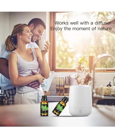 Basil Essential Oil - 100% Natural Aromatherapy Oil for Diffusers Humidifiers Massage Skin & Hair Care | 1.01 fl oz - Buy Online on GoSupps.com