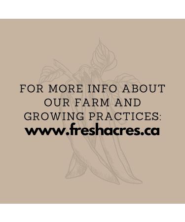 Organic Rye Berries Canadian Grown Bulk Dry 4.54 Kg Fresh Acres - Buy Online on GoSupps.com