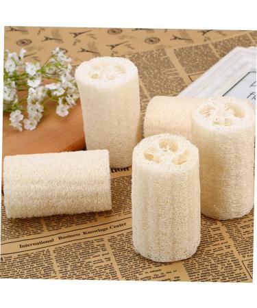 Buy NOLITOY 2pcs Loofah Body Wash Shower Mesh Scrubber - Perfect for a Refreshing Clean | International Shipping Available - Buy Online on GoSupps.com