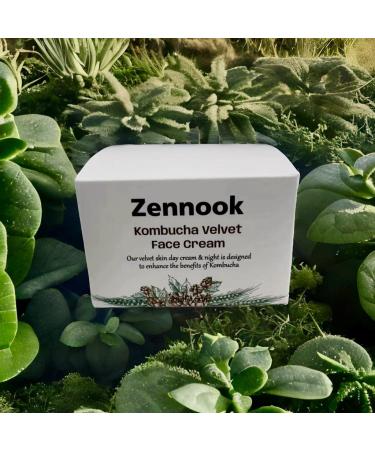 ZENNOOK Kombucha Velvet Face Cream | Natural Black Tea Skincare | 24-Hour Rejuvenating Cream 1.69 FL. OZ. International Shipping Available - Buy Online on GoSupps.com