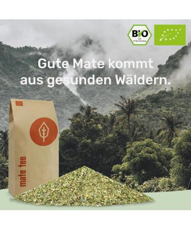 Bio Yerba Mate Tea 200g | Organic Fair & Ecological | Fresh & Green Mate Leaves | Certified & Packaged in Germany - Buy Online on GoSupps.com