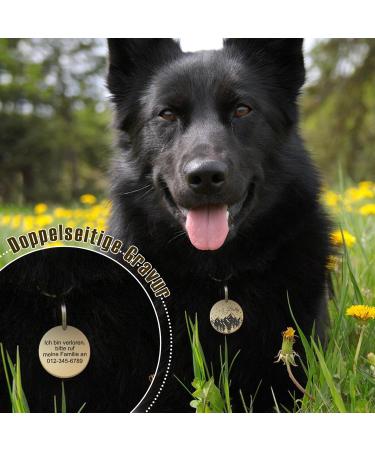 Personalized Kodinsiivous Dog Brand - Engraved Stainless Steel Dog Tag | Custom Name & Design - Round 30mm Collar Tag for Dogs & Cats (Gold) - Buy Online on GoSupps.com