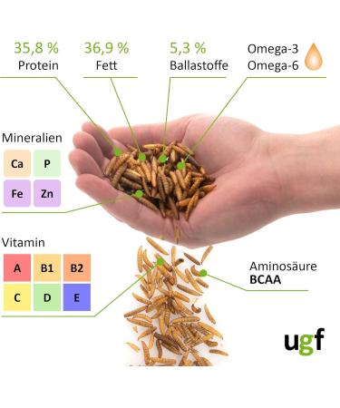 UGF Soldier Fly Larvae (500g) - Superior to Dried Mealworms - 85x Calcium - Ideal Treats for Birds Turtles Rodents & More - Buy Online on GoSupps.com